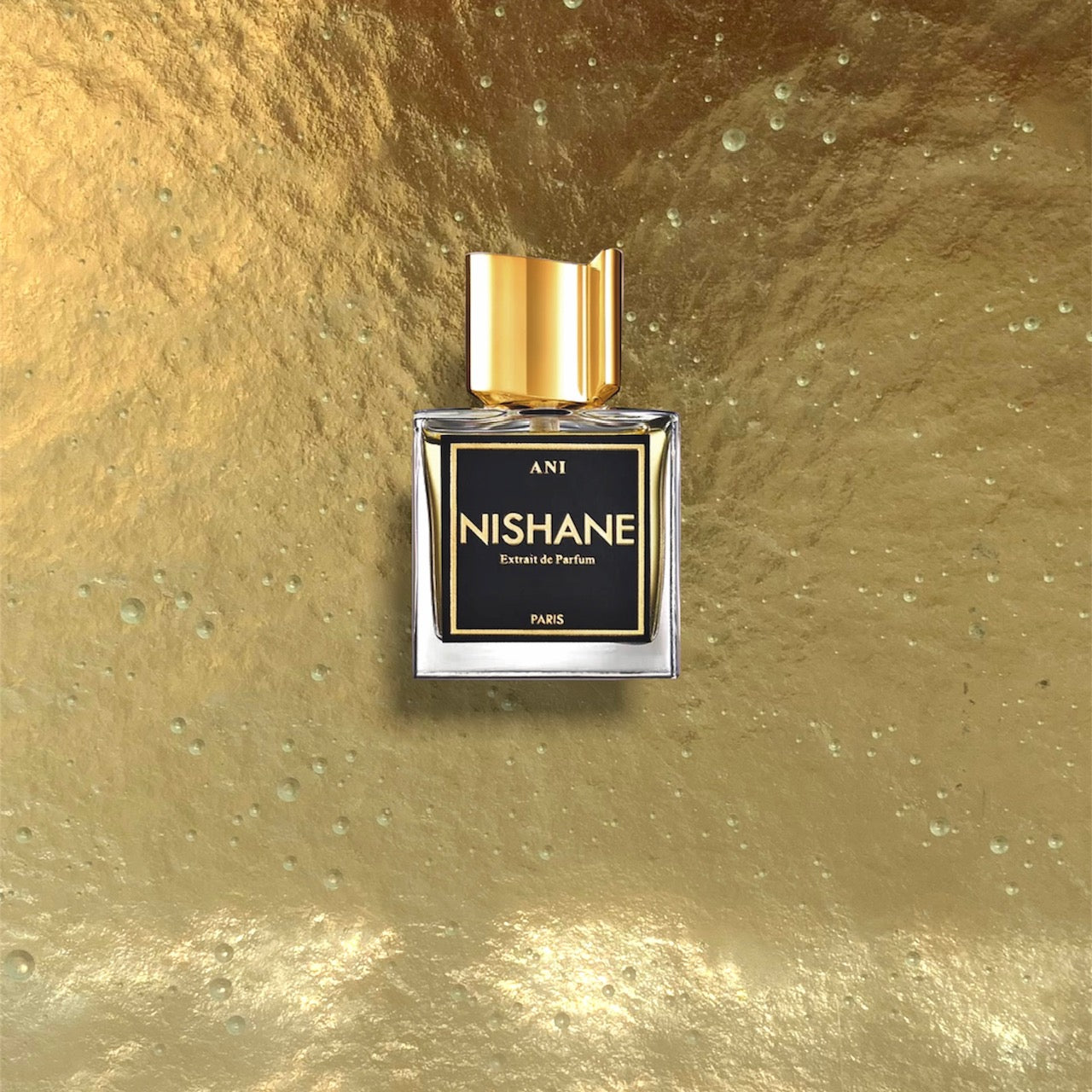 NISHANE perfume – makedany